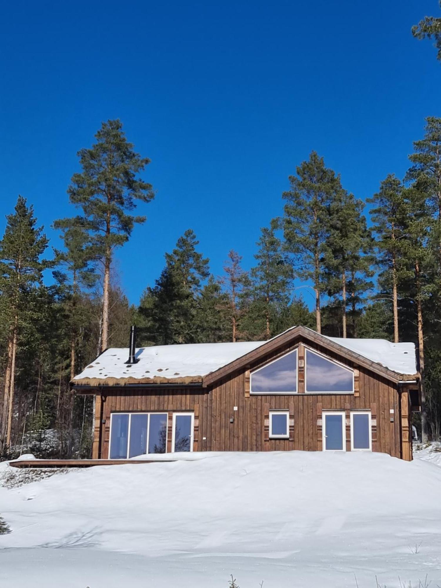 Holiday Cabin In Beautiful Surroundings ヴラダル エクステリア 写真